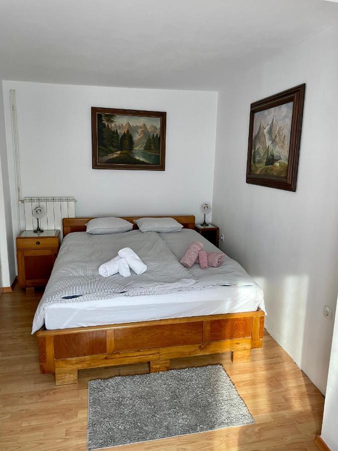 Apartma Pri Soci Apartment Бовец Екстериор снимка