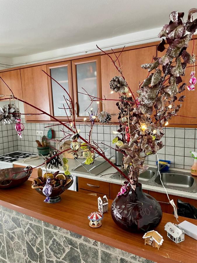 Apartma Pri Soci Apartment Бовец Екстериор снимка
