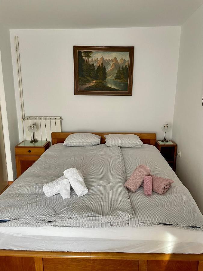 Apartma Pri Soci Apartment Бовец Екстериор снимка